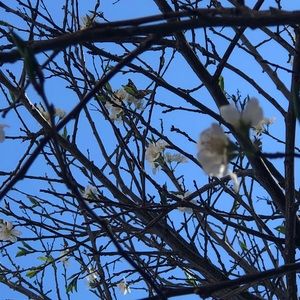 Meet your Posher, Alaina